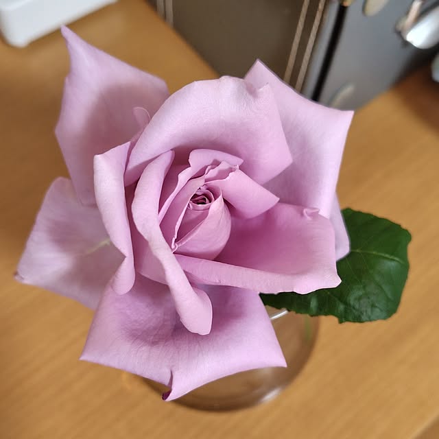 utazorrokさんの実例写真