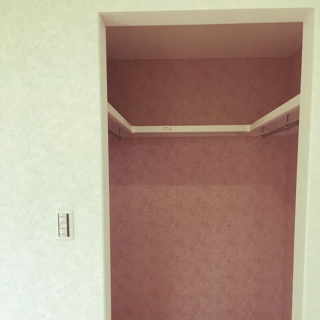 壁/天井/ウォークインクローゼット/アクセントクロス/マイホーム建築中/注文住宅...などのインテリア実例 - 2018-08-12 20:23:07
