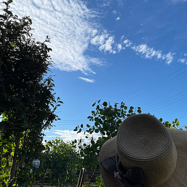 ronronさんの実例写真