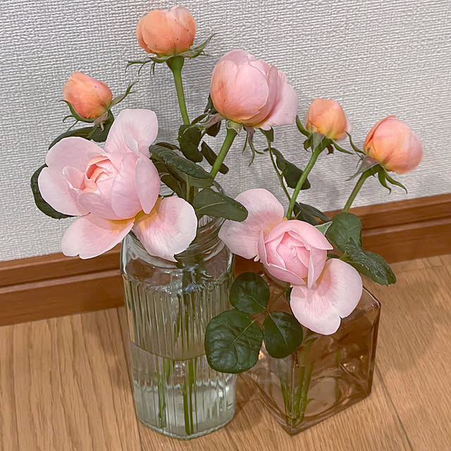 SIELUさんの部屋