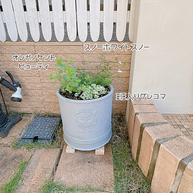 rinoさんの部屋