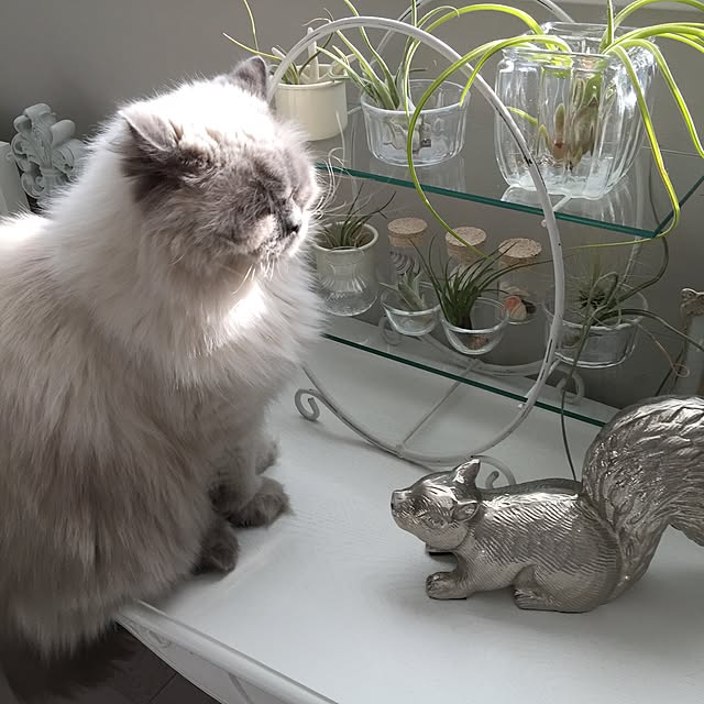 yuchiさんの実例写真