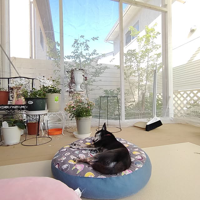 Bienvenueさんの部屋
