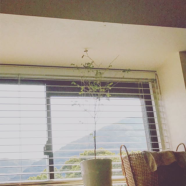 yaeさんの実例写真