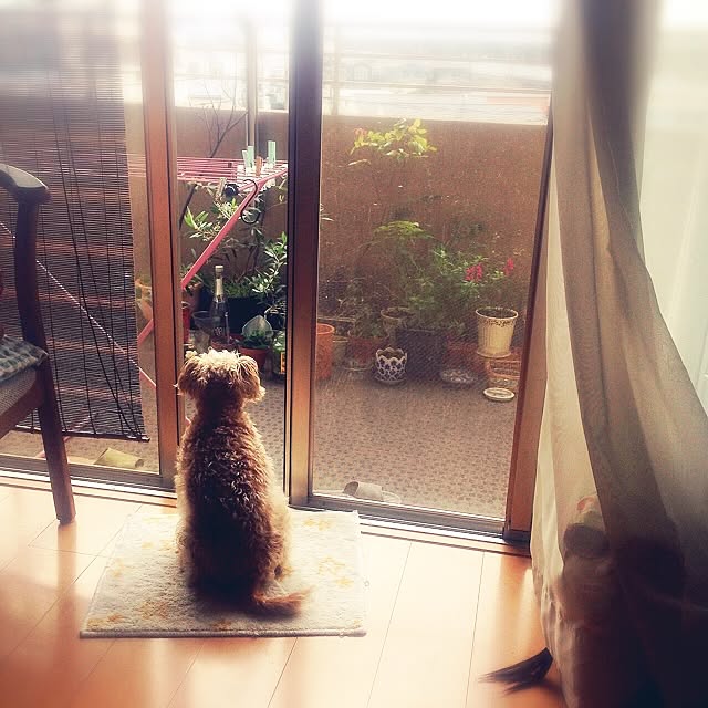 yさんの実例写真
