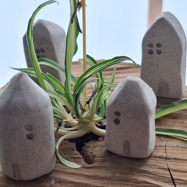 midoriさんの実例写真