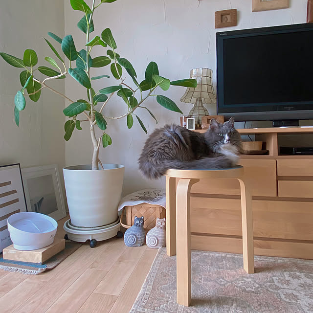 mangomilkさんの実例写真
