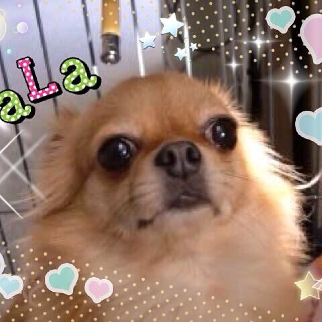 Yuiriさんの実例写真