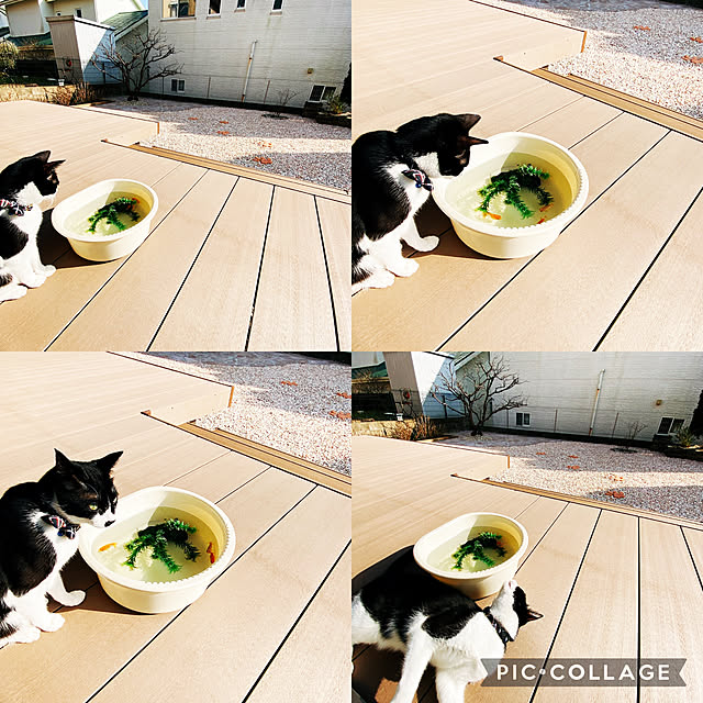 moolさんの実例写真