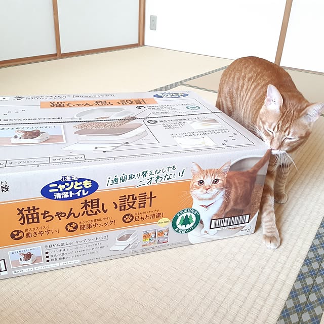 m.m.mさんの実例写真