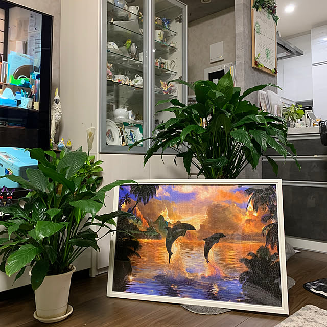 Aqettyさんの部屋