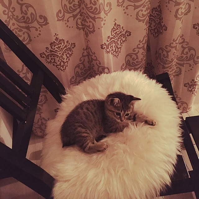 Mさんの実例写真