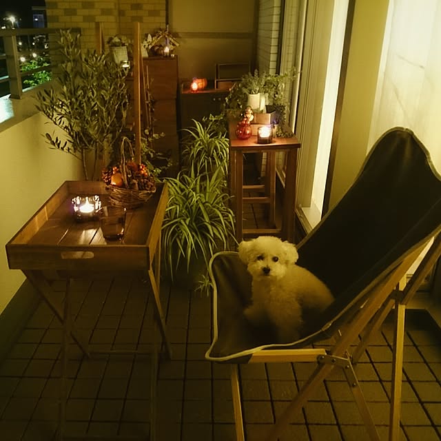 aurinkoさんの実例写真