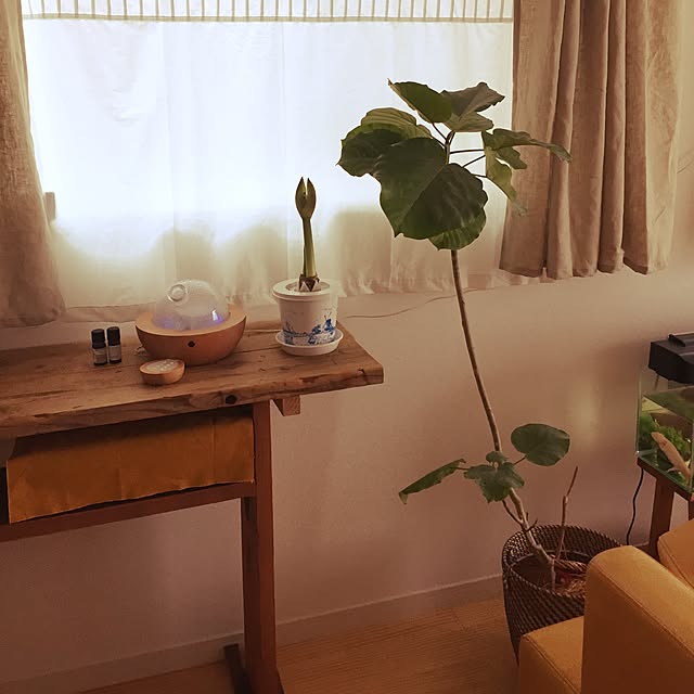 chisさんの実例写真