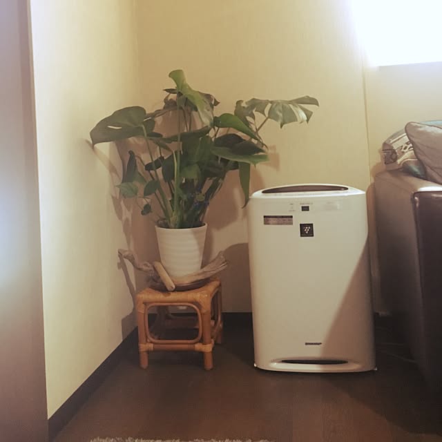 arigatomamireさんの実例写真