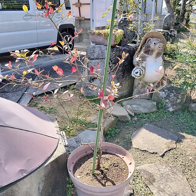sumimarumiさんの実例写真