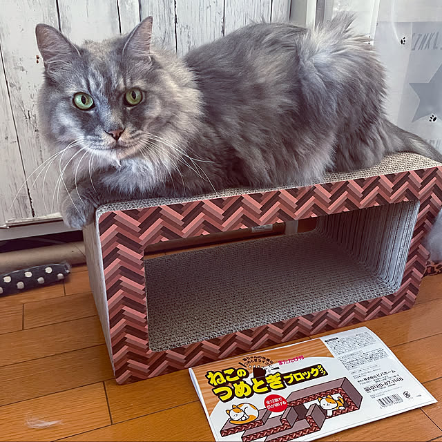 naworinさんの実例写真