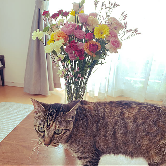 yoshieさんの実例写真