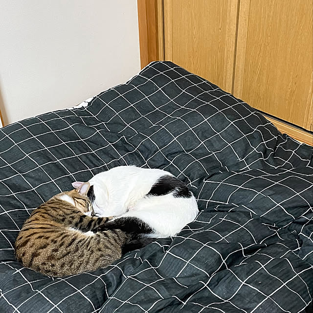 nobikoさんの実例写真