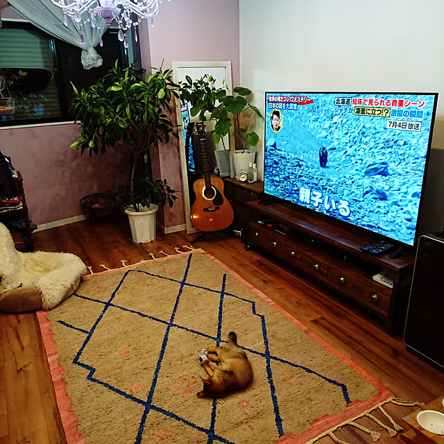 poniさんの実例写真