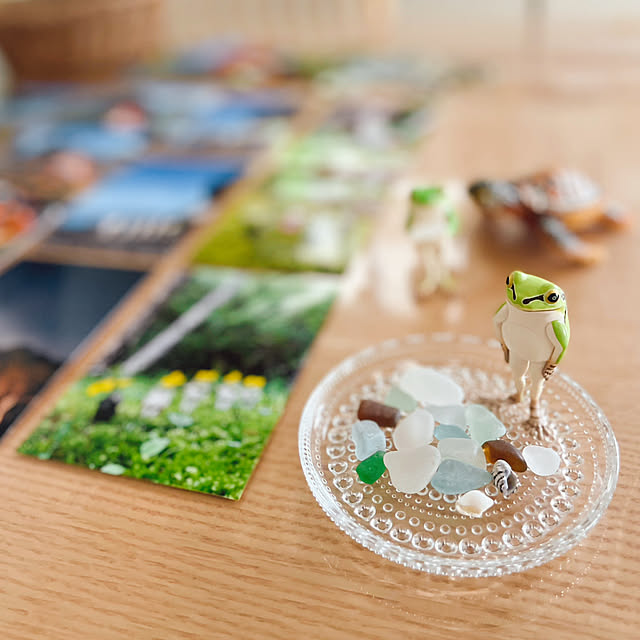 実例写真