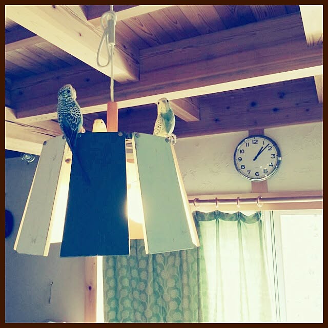 cotoriさんの実例写真