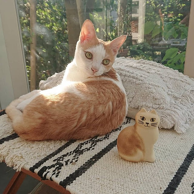 asmaさんの実例写真