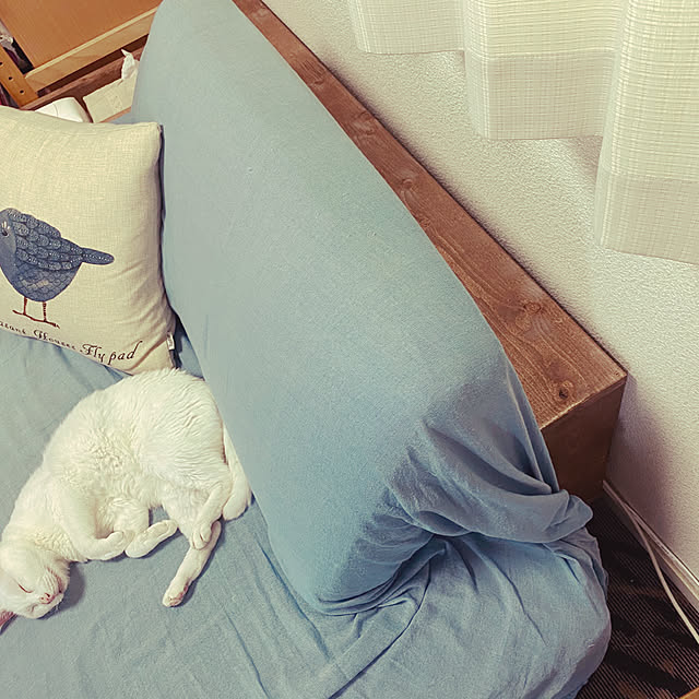 fuyuさんの実例写真