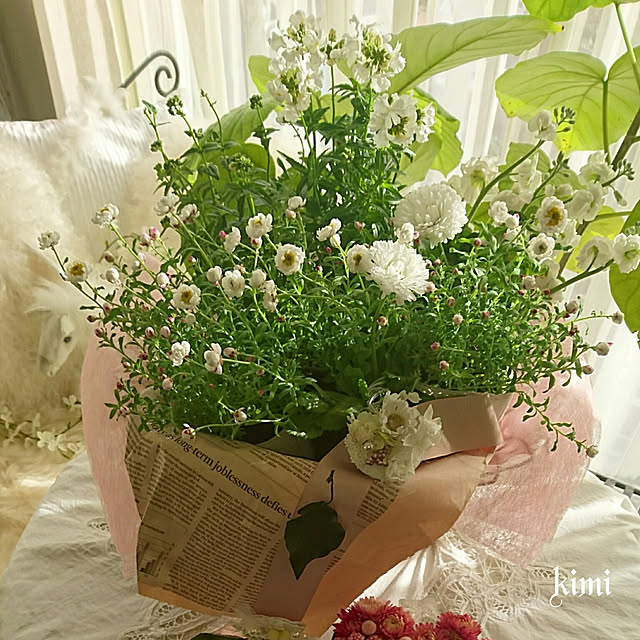 kimiさんの実例写真