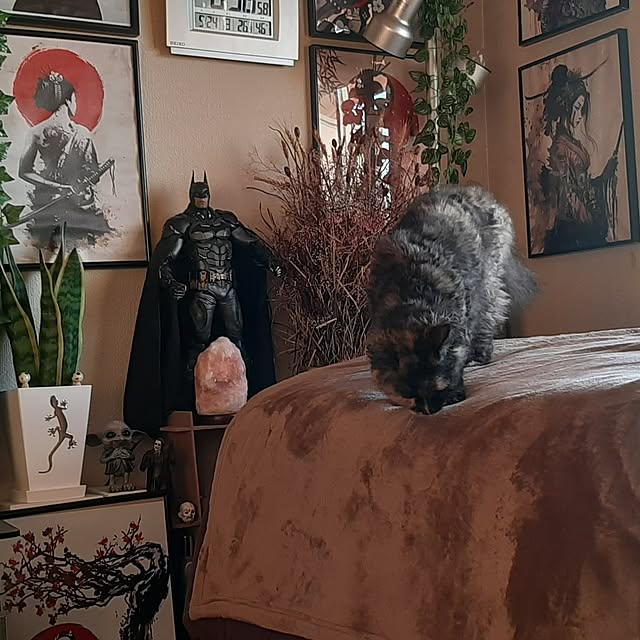 tosi66554さんの実例写真