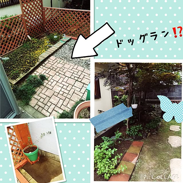 shibaさんの実例写真