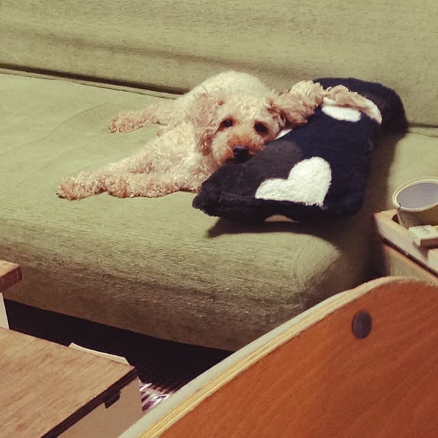 YUYUさんの実例写真