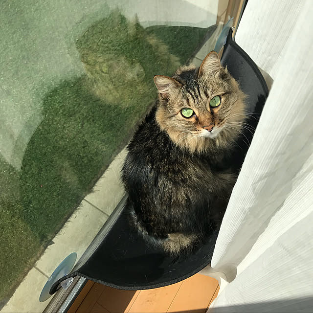 yuki0511さんの実例写真