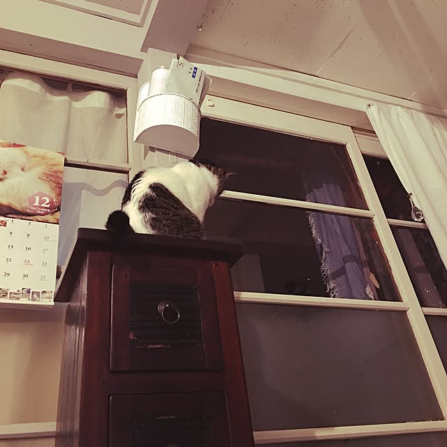 Shihoさんの実例写真