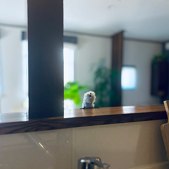 ikupyonさんの部屋