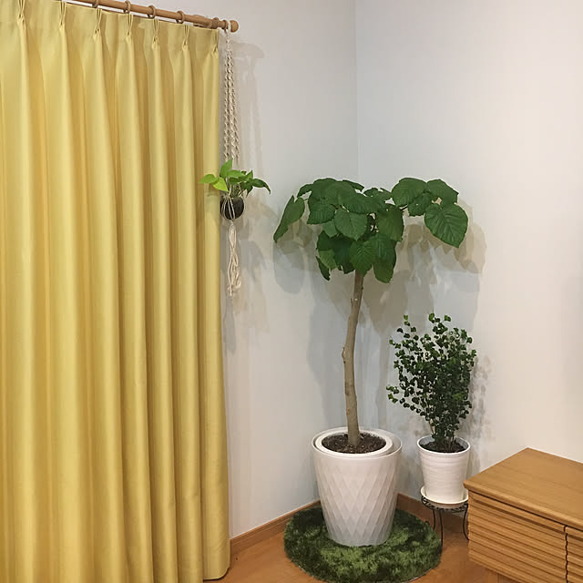 nanachanmamaさんの実例写真