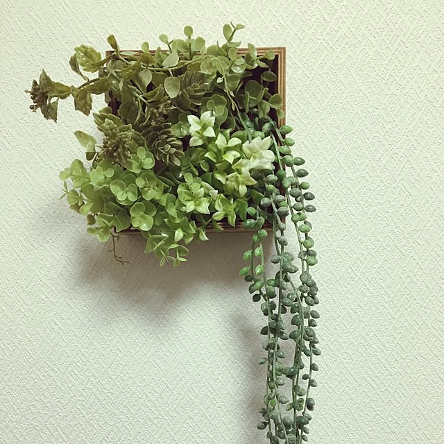 tomoさんの実例写真