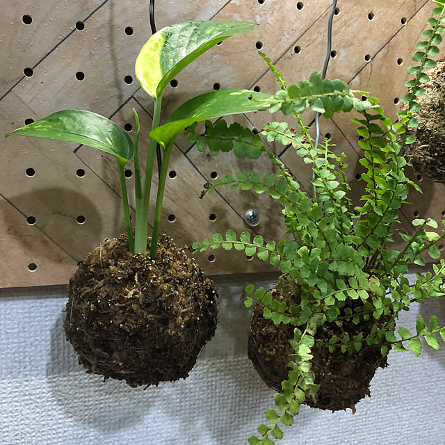 CoffeeHouseさんの部屋