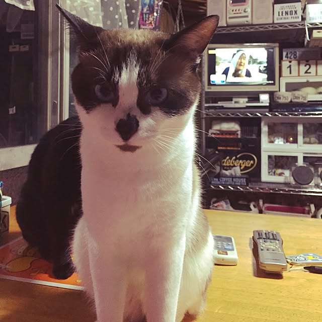 vivienne.coco-keiさんの実例写真