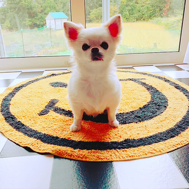 yukiさんの実例写真