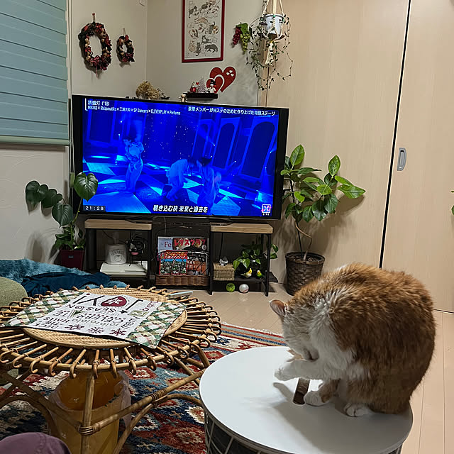 Toyomiさんの実例写真