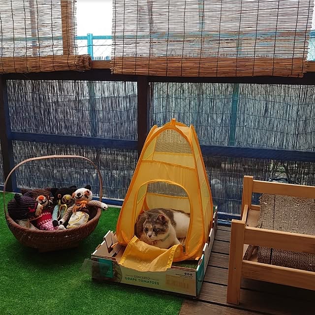 fukuさんの実例写真