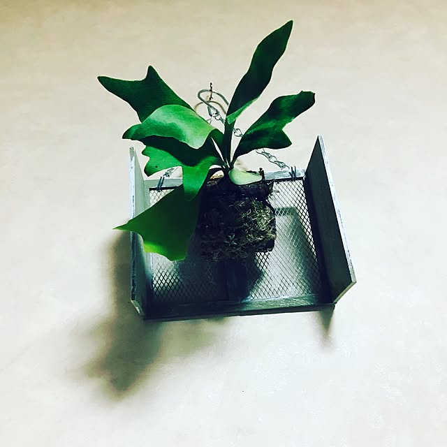 Yurisaさんの実例写真