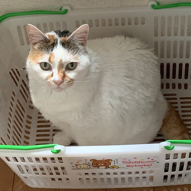 odekoさんの実例写真