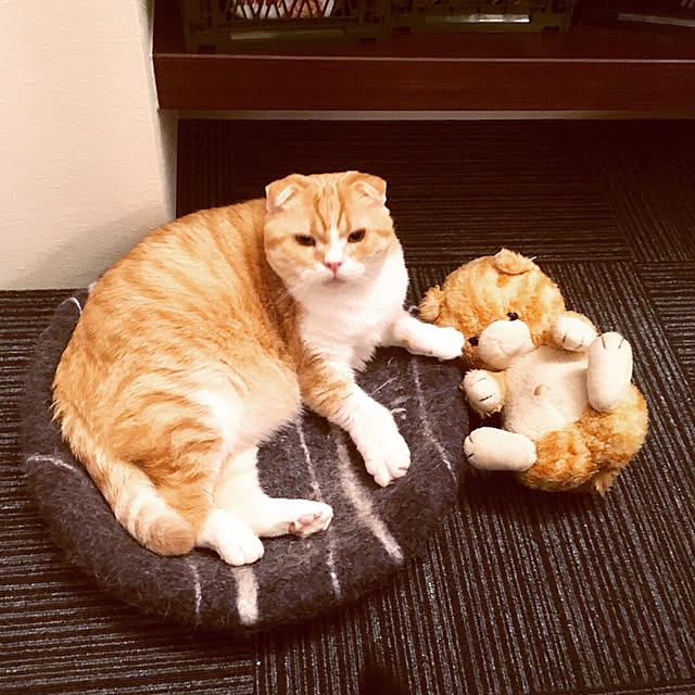 pepperさんの実例写真