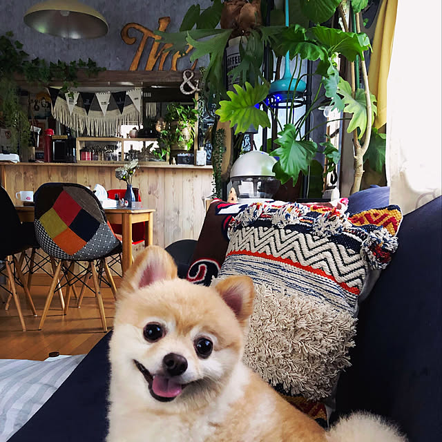 franさんの実例写真