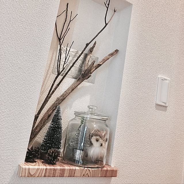 oxoxさんの実例写真
