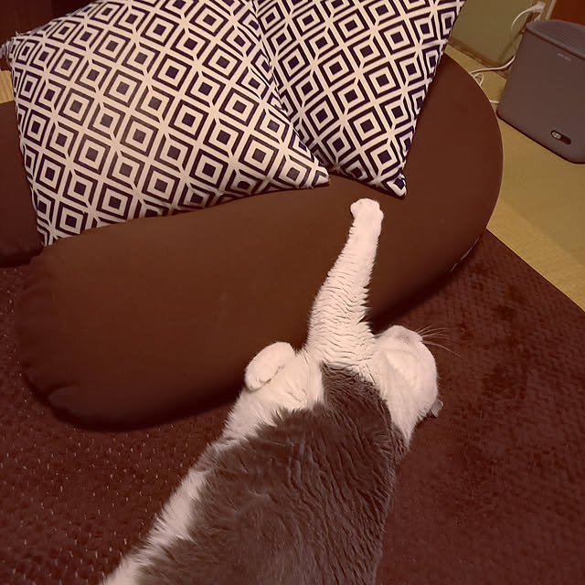 rhuさんの実例写真