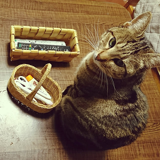 maoshinさんの実例写真