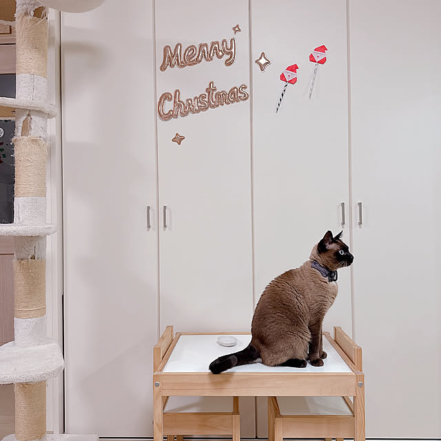 aichinさんの部屋